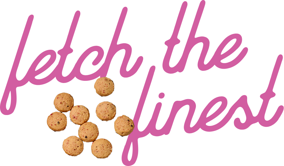 Fetch the Finest Dog Treats from Gracie's Barkery