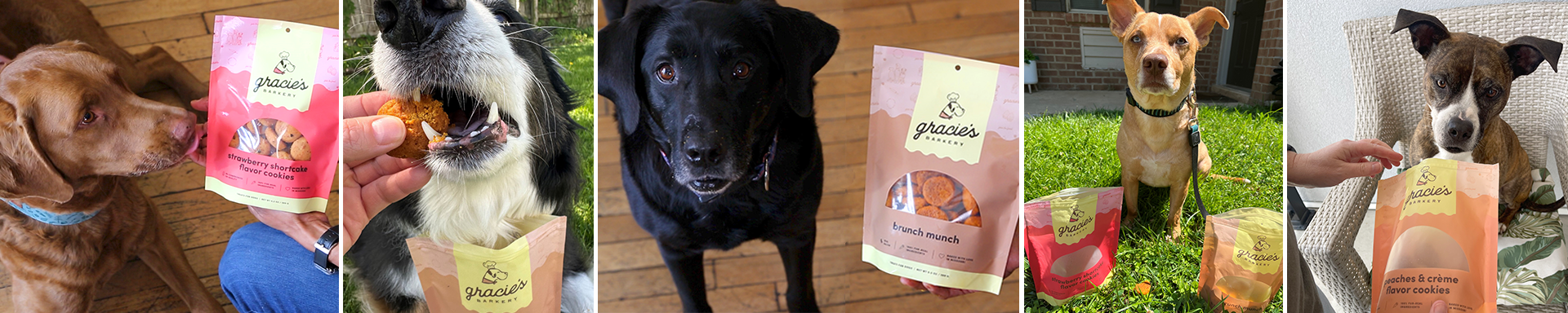 Shop Gracie's for Dog Treats